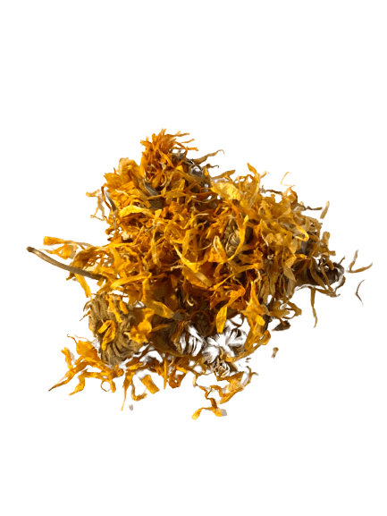 More New Herbs and Roots