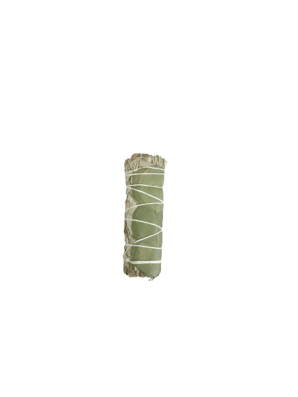 White Sage & Eucalyptus 4"