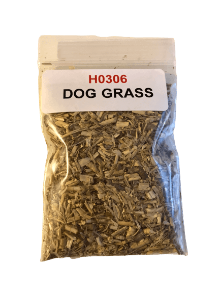 Dog Grass