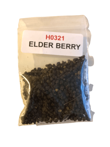 Elderberry