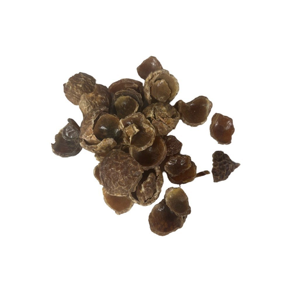 Soap Nuts