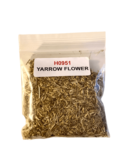 Yarrow Flower