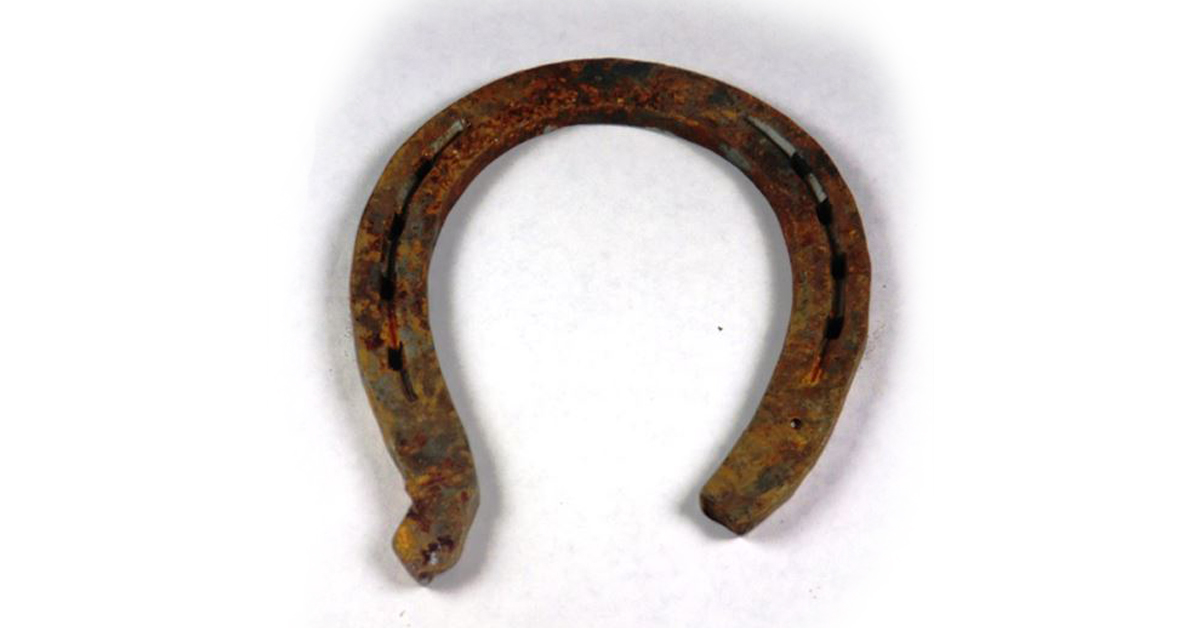 Lucky Horseshoe