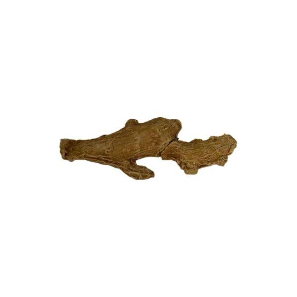 H0369-Ginger Root