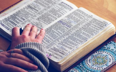 Where To Look In the Bible