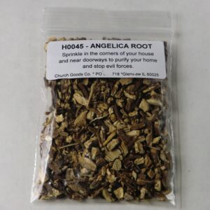 Angelica Root