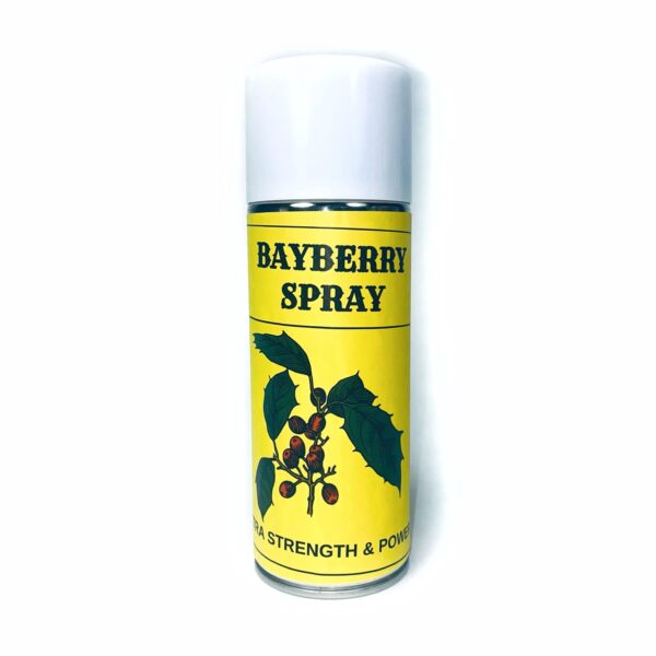 Bayberry Spray