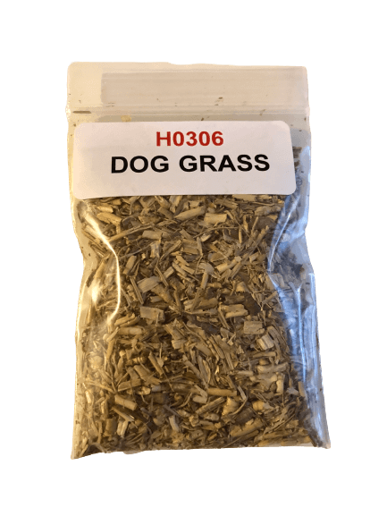 Dog Grass - LuckShop